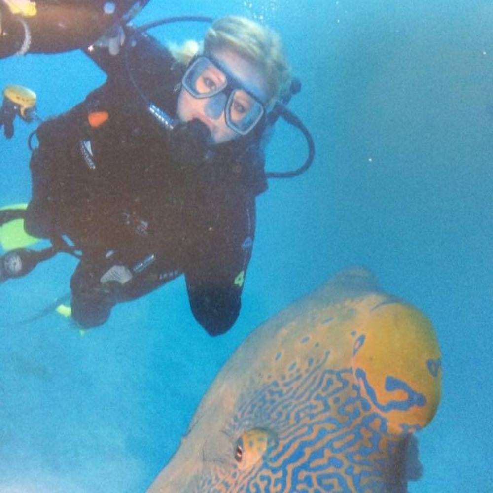 Meet your Posher, Daisy