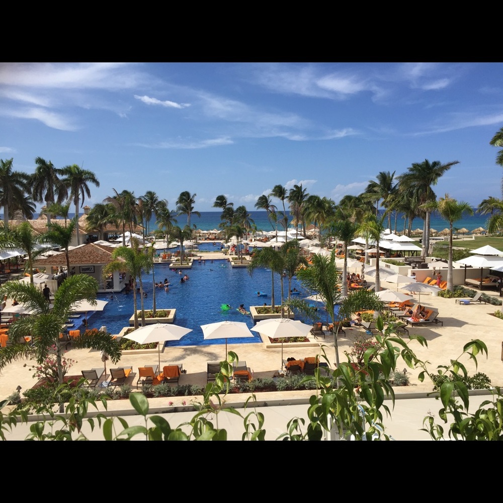 Meet your Posher, Mona