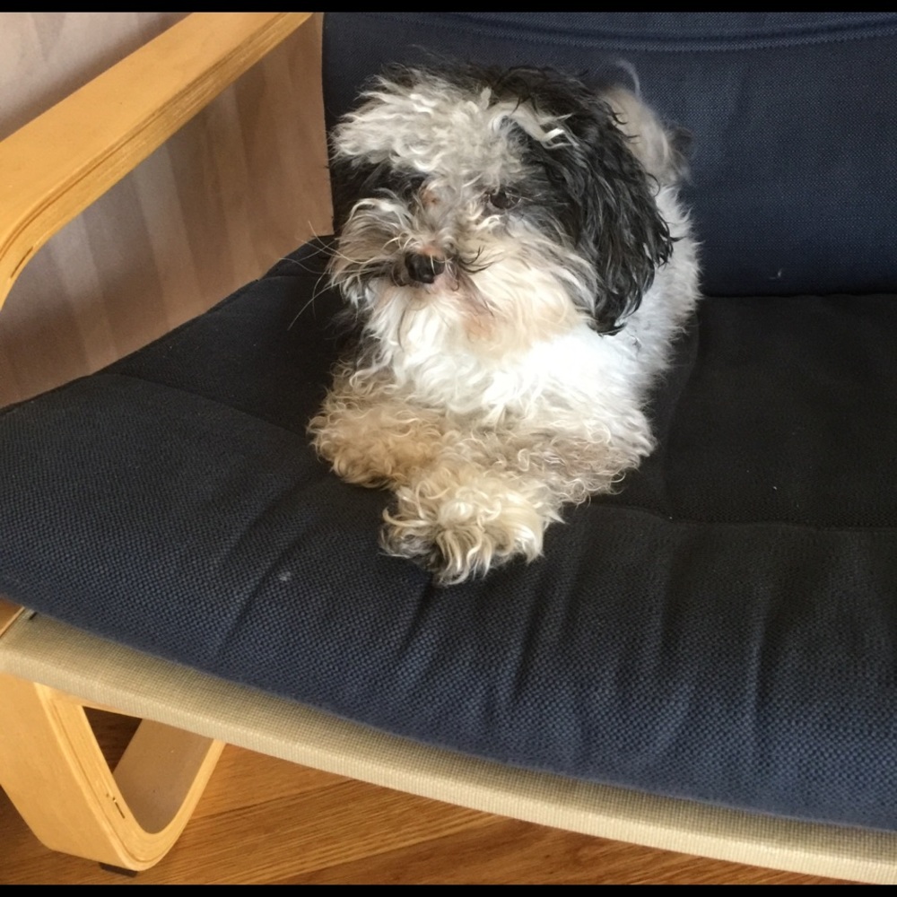 Meet your Posher, Fabiola