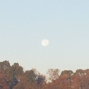 Meet your Posher, Ruby