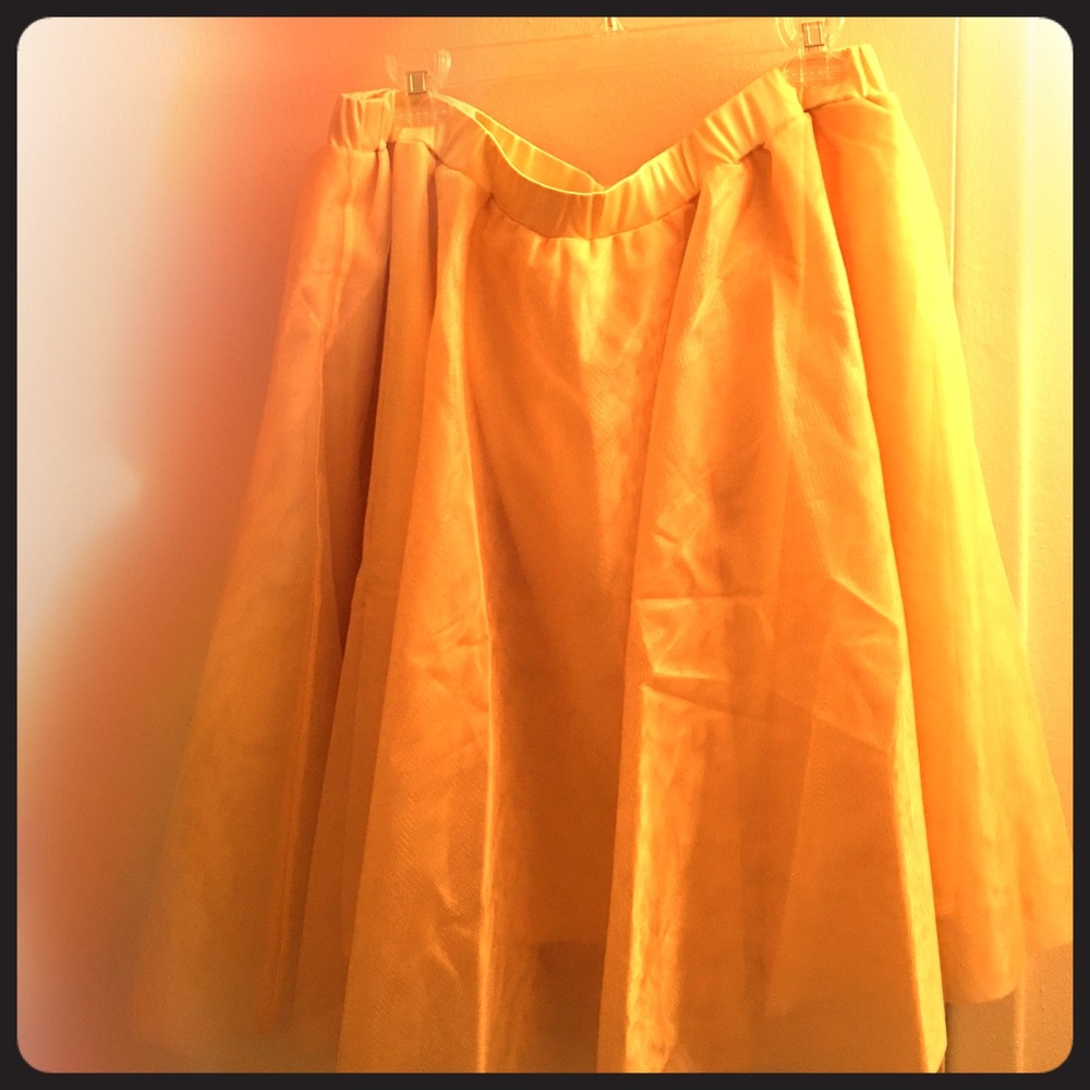 Gold Tulle Skirt