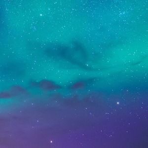 Meet your Posher, Sasha