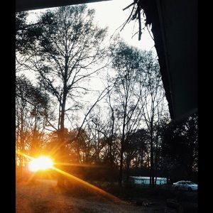 Meet your Posher, Maggie