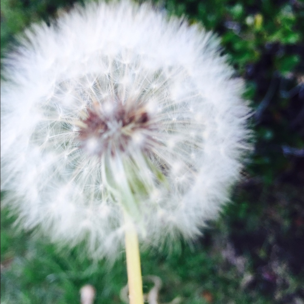 Meet your Posher, Hafssa