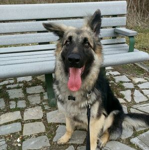 Meet your Posher, Monica