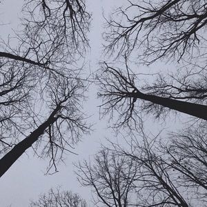 Meet your Posher, Eliza