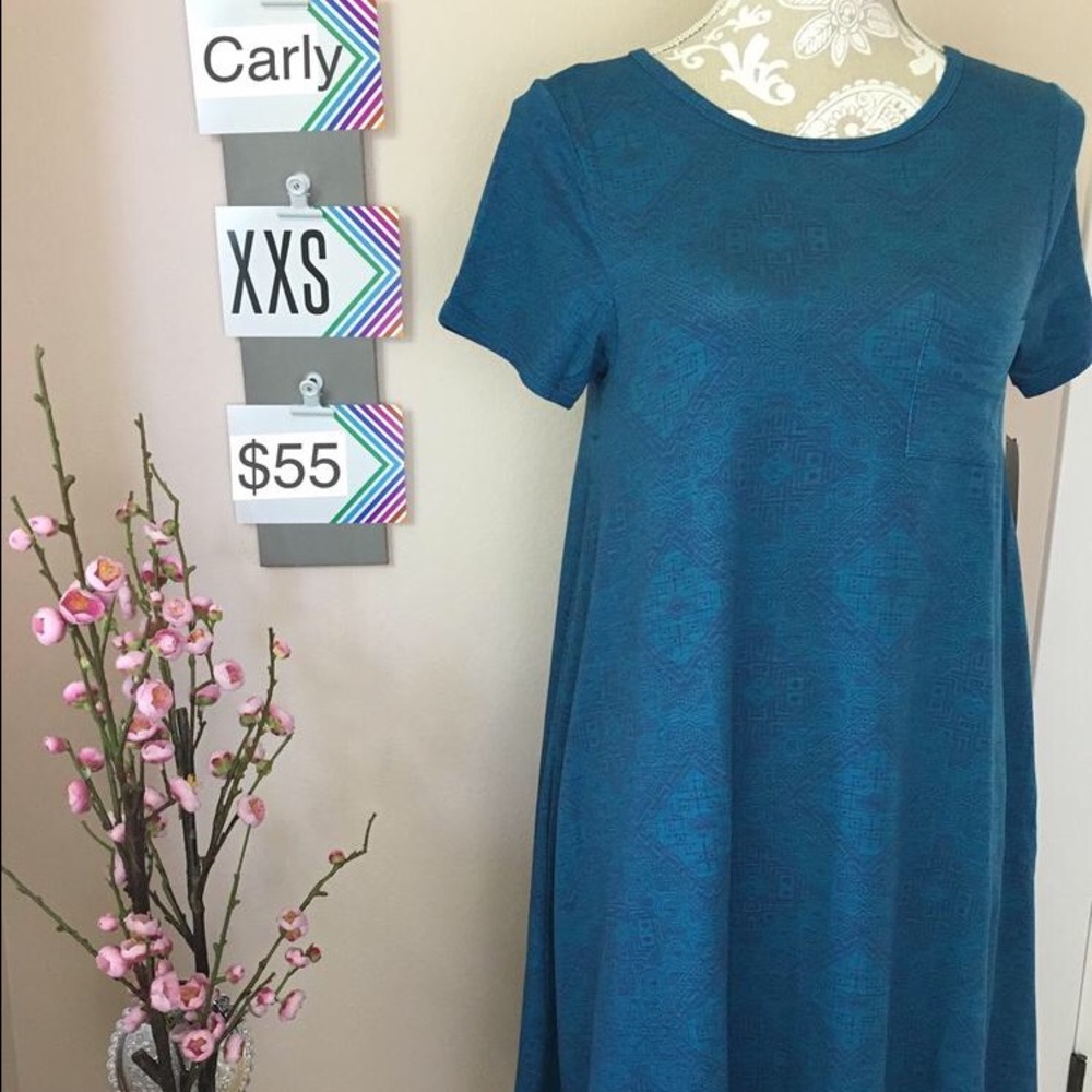NWT LuLaRoe Carly dress