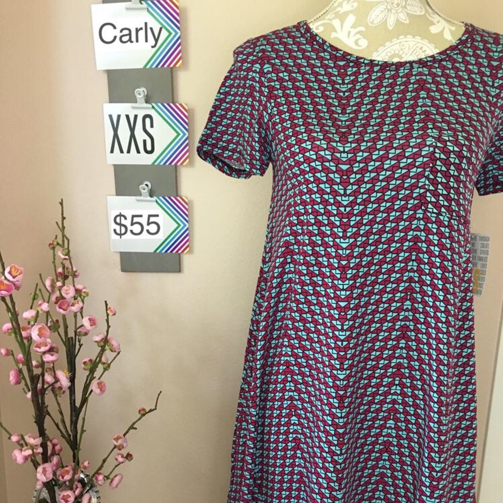 NWT LuLaRoe Carly dress