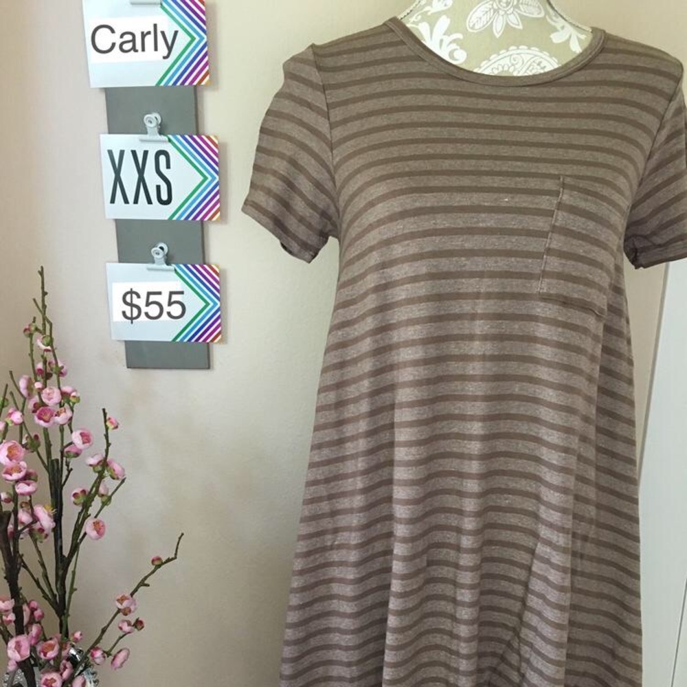 NWT LuLaRoe Carly dress