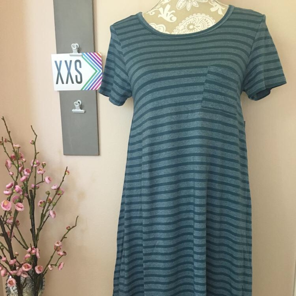 NWT LuLaRoe Carly dress