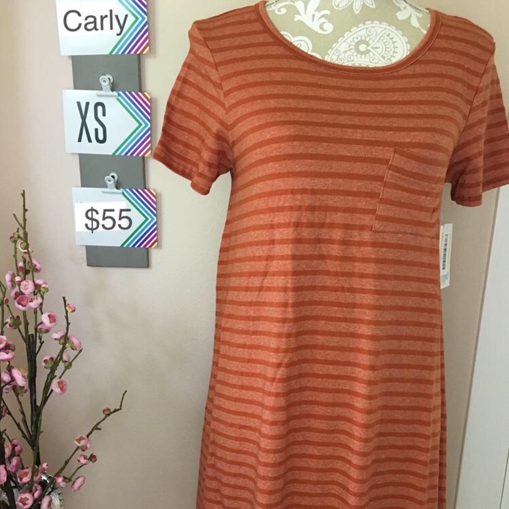 NWT LuLaRoe Carly dress