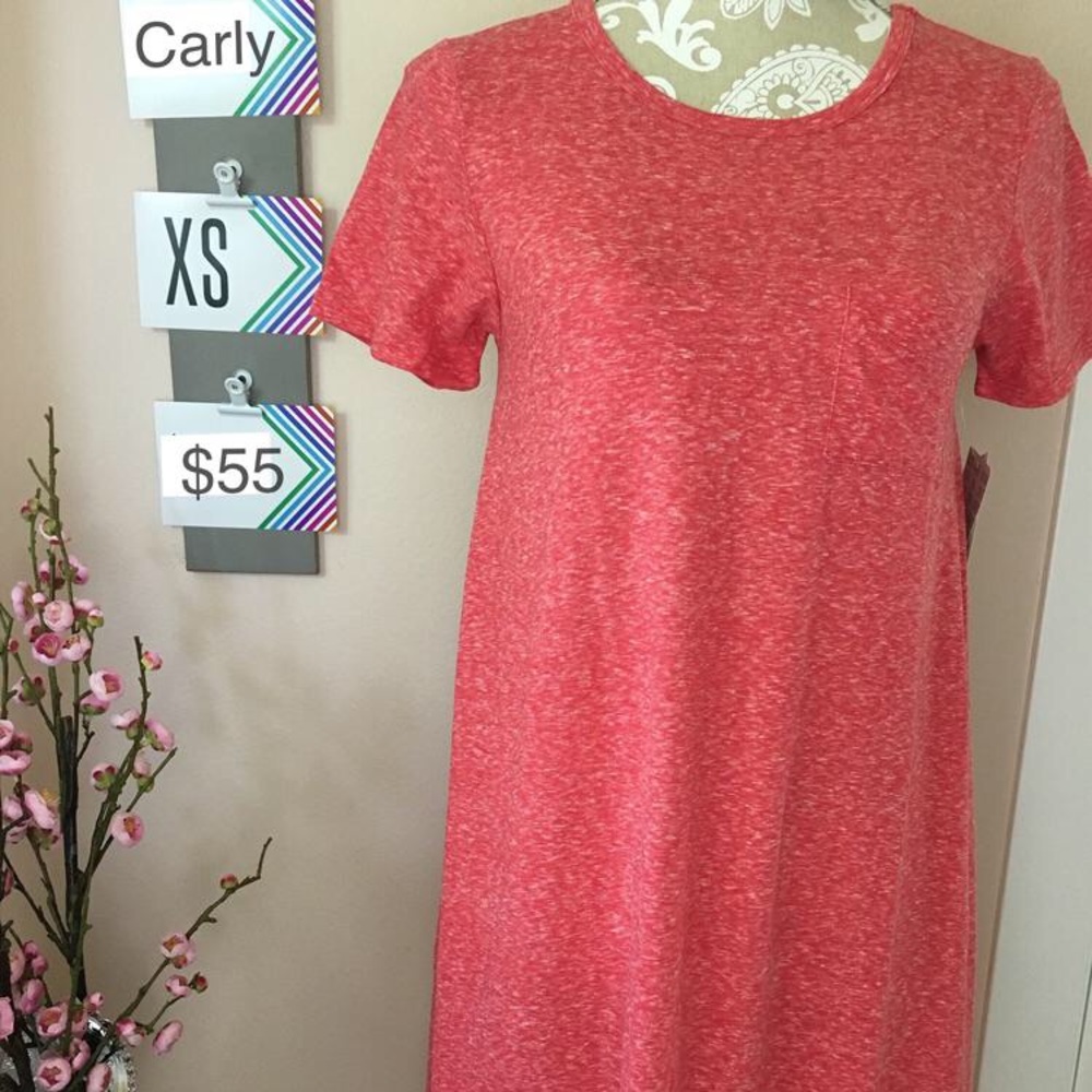 NWT LuLaRoe Carly dress
