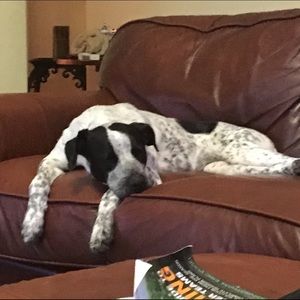 Meet your Posher, Kathleen