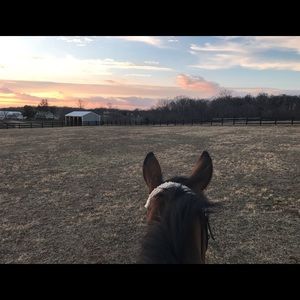 Meet your Posher, Anna