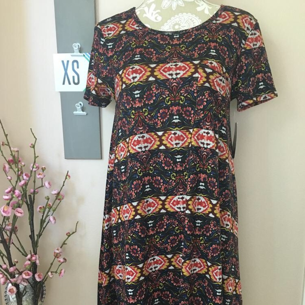 NWT LuLaRoe Carly dress