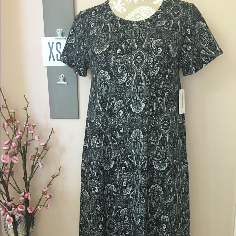 NWT LuLaRoe Carly dress