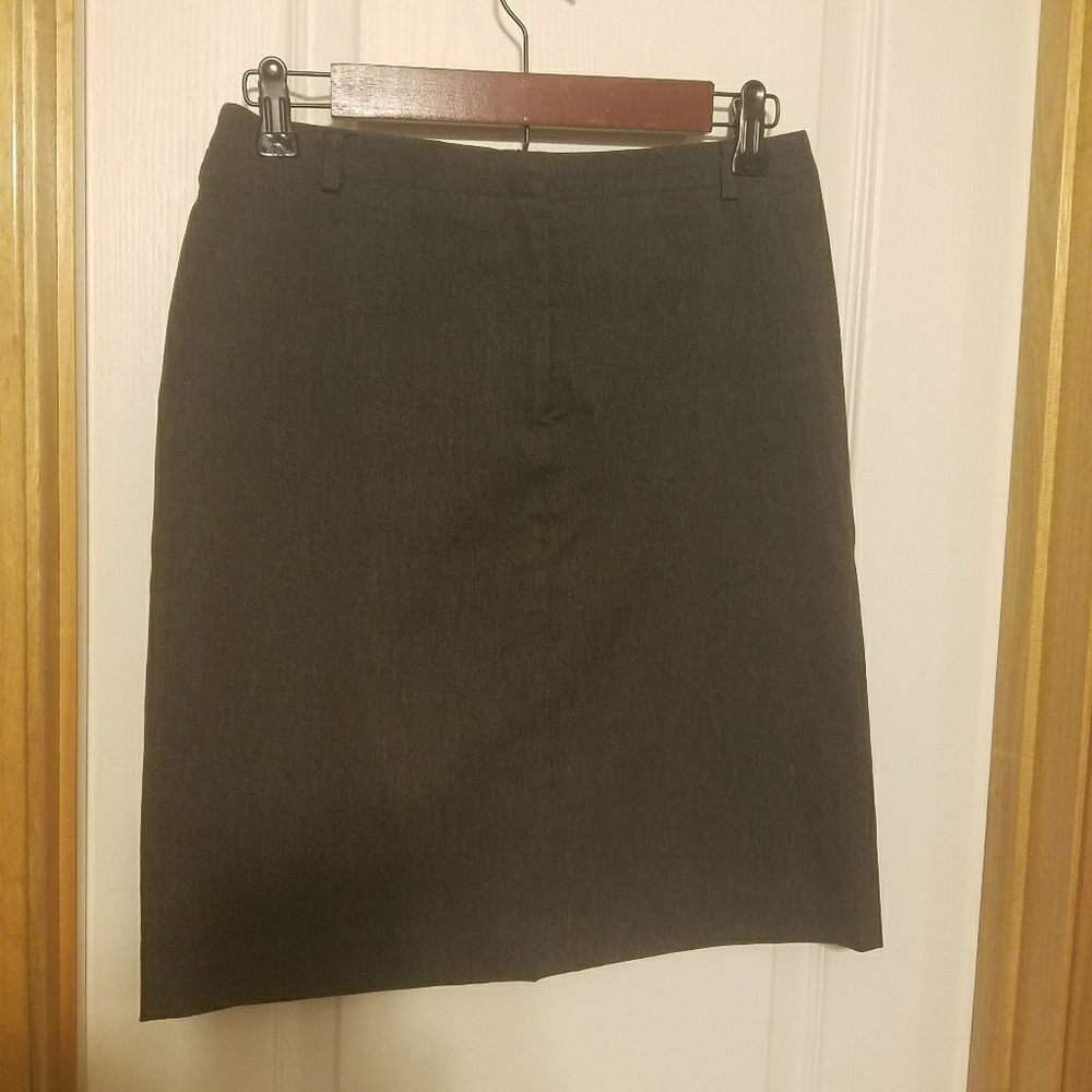 Express stretch skirt