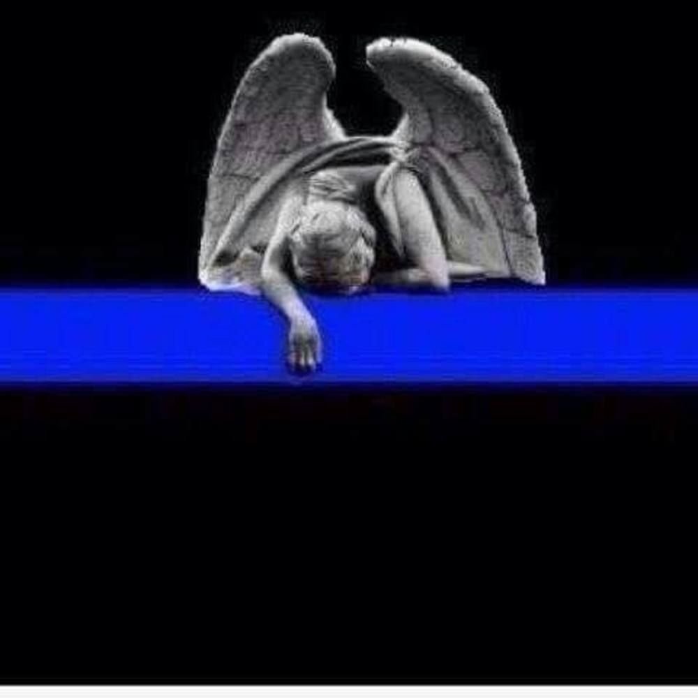 Meet your Posher, Belinda