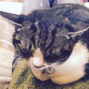 Meet your Posher, Leiya