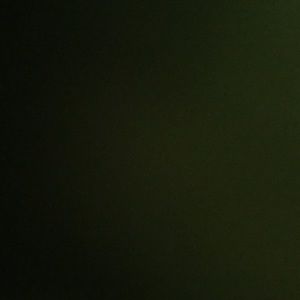 Meet your Posher, Taya