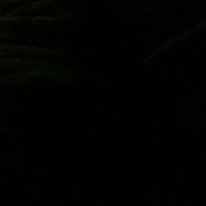 Meet your Posher, Mimi