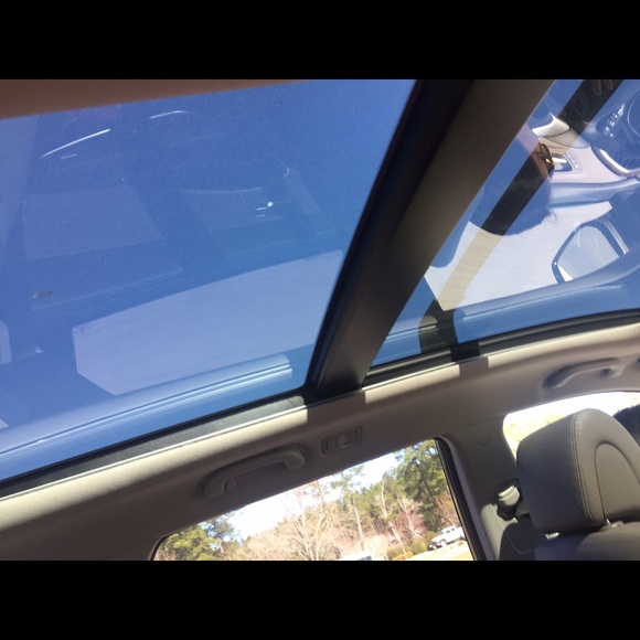 Meet your Posher, Bonnie - Picture 1 of 1