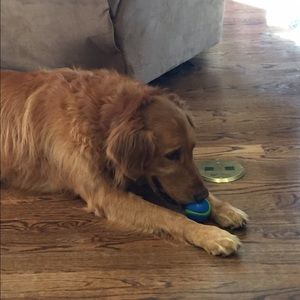 Meet your Posher, Chelsey