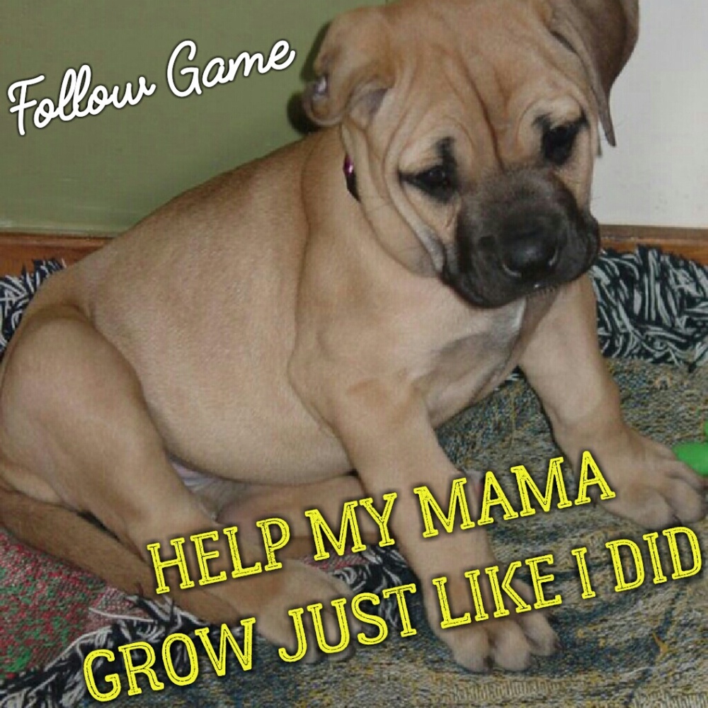 ALMOST FULL! FOLLOW AND SHARE AGAIN!!