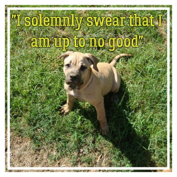 ALMOST FULL! FOLLOW AND SHARE AGAIN!! - Picture 2 of 8