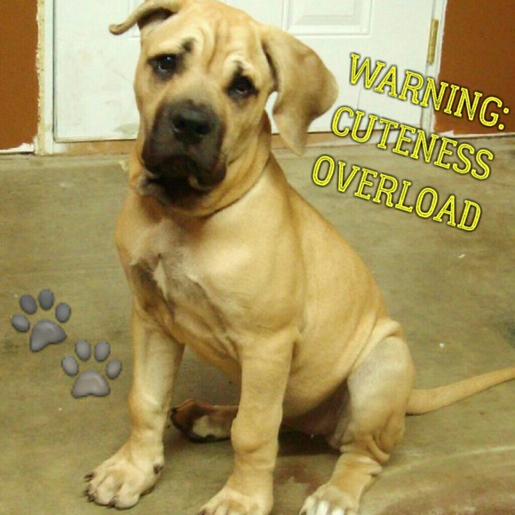 ALMOST FULL! FOLLOW AND SHARE AGAIN!! - Picture 3 of 8