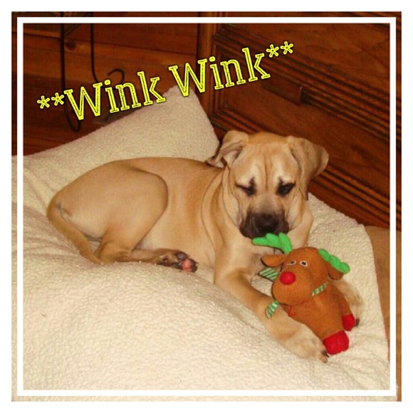 ALMOST FULL! FOLLOW AND SHARE AGAIN!! - Picture 4 of 8