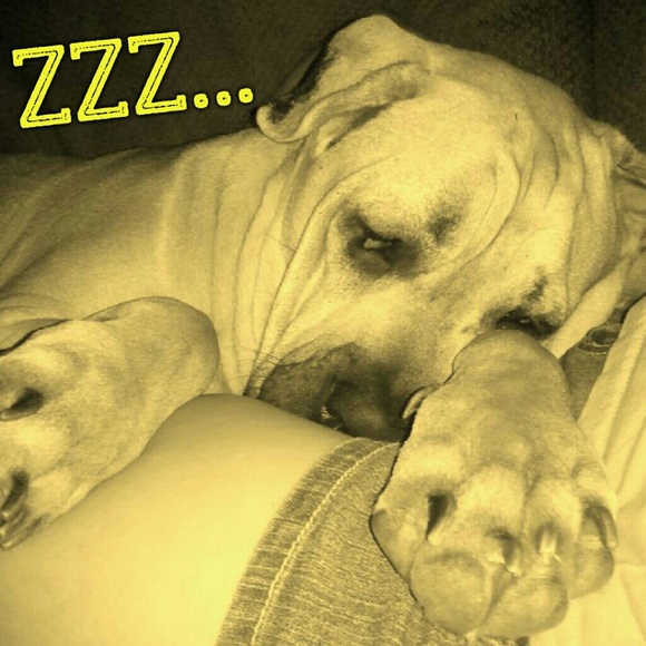 ALMOST FULL! FOLLOW AND SHARE AGAIN!! - Picture 5 of 8