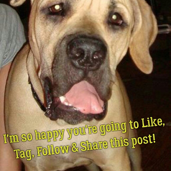 ALMOST FULL! FOLLOW AND SHARE AGAIN!! - Picture 7 of 8