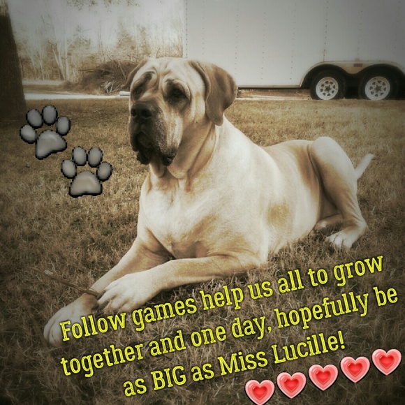 ALMOST FULL! FOLLOW AND SHARE AGAIN!! - Picture 8 of 8