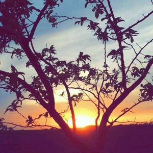 Meet your Posher, Mackenzie