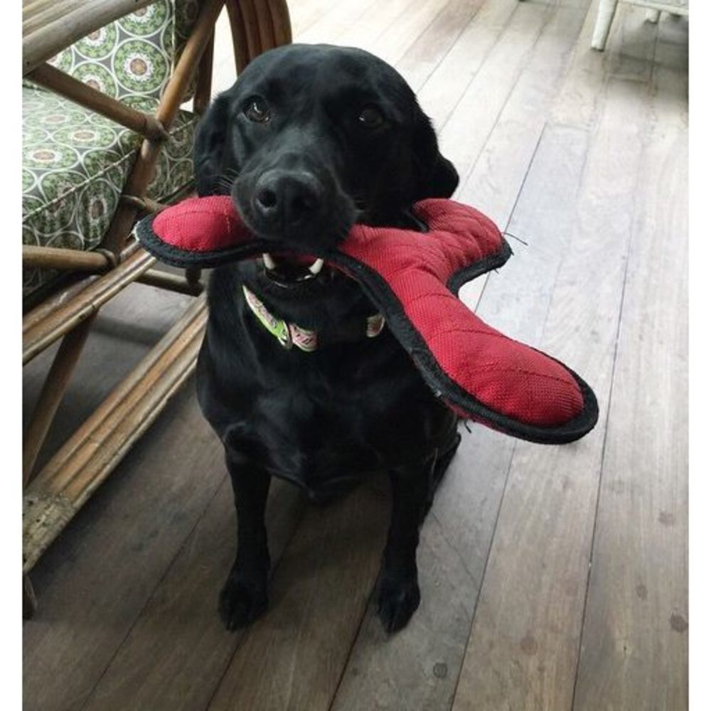 Meet your Posher, Ashleah