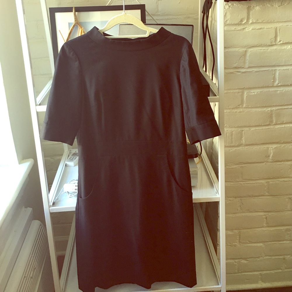 JCrew Classic Button Up (back) Dress