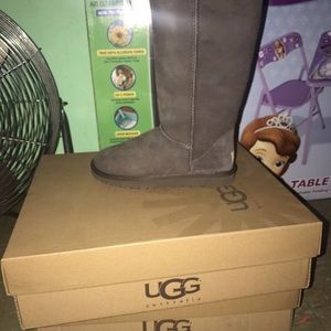 Brand new ugg boots clsssic tall