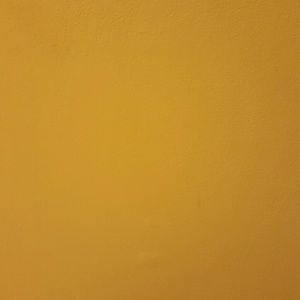 Meet your Posher, Tommie