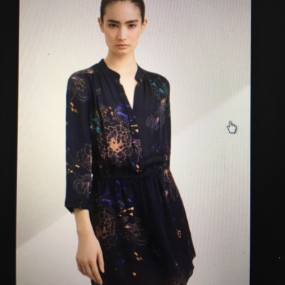 Aritzia Babaton silk dress