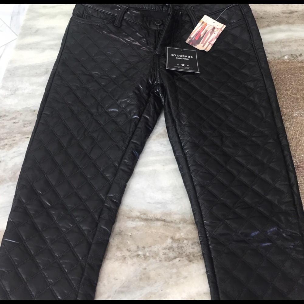 Vegan leather pants from urban outfitters!