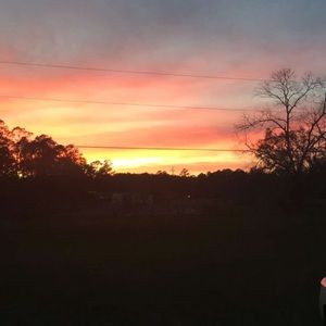 Meet your Posher, Kaylee