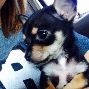 Meet your Posher, Katie