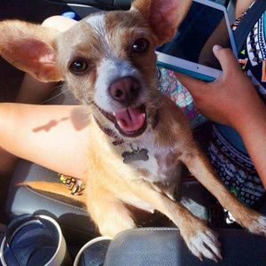 Meet your Posher, Alexia