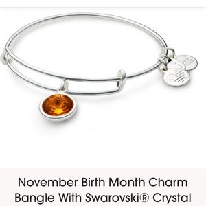 NWT!  Alex & Ani Silver November Bangle Bracelet