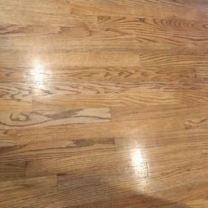 Meet your Posher, Brynn