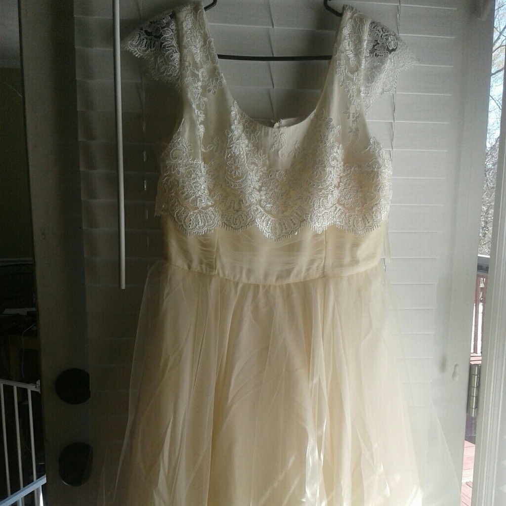 Mod Cloth Cream/Lace/Tulle wedding/rehearsal dress