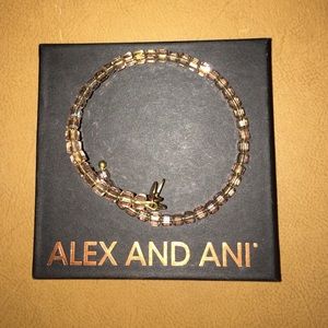 Alex and Ani Filler Bracelet