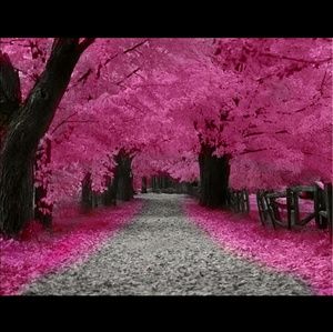 Meet your Posher, Dena