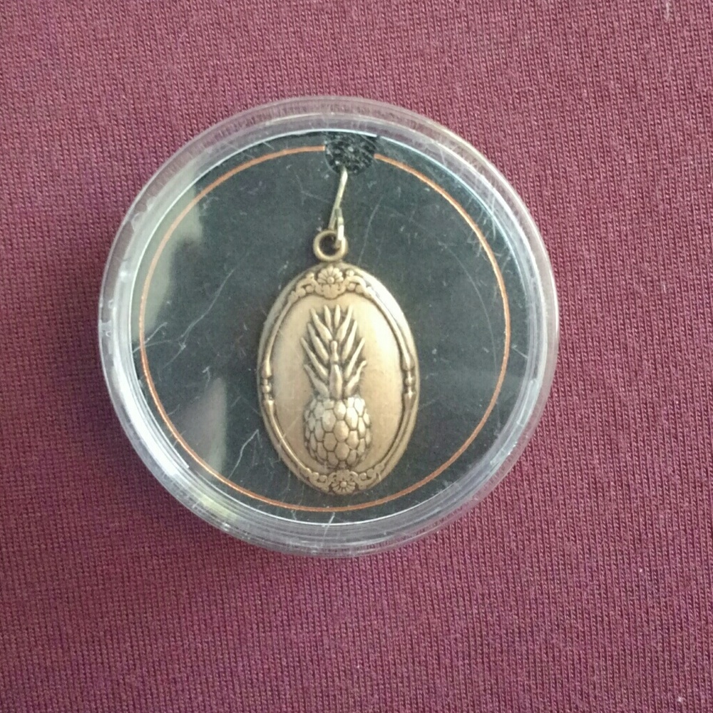 * Alex and Ani * Pineapple necklace charm